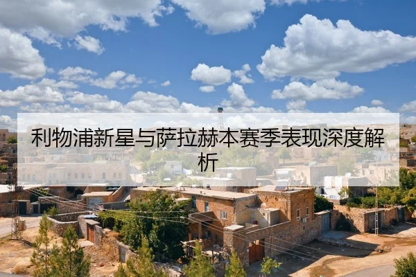 li-wu-pu-xin-xing-yu-sa-la-he-ben-sai-ji-biao-xian-shen-du-jie-xi-2-667.jpg