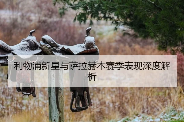 利物浦新星与萨拉赫本赛季表现深度解析