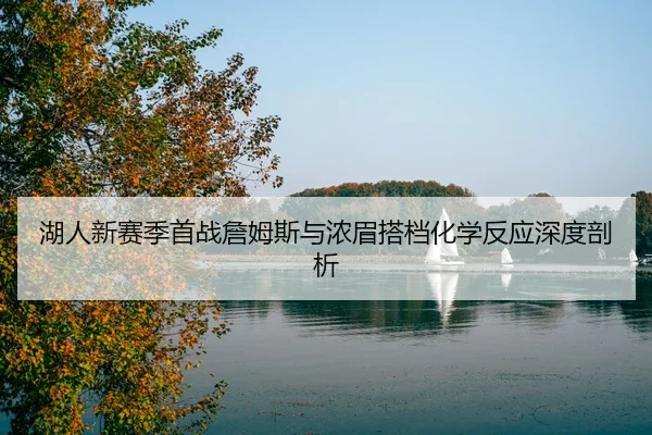 湖人新赛季首战詹姆斯与浓眉搭档化学反应深度剖析