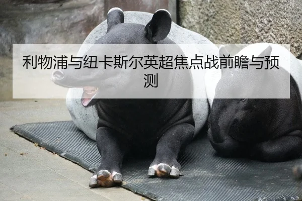 利物浦与纽卡斯尔英超焦点战前瞻与预测